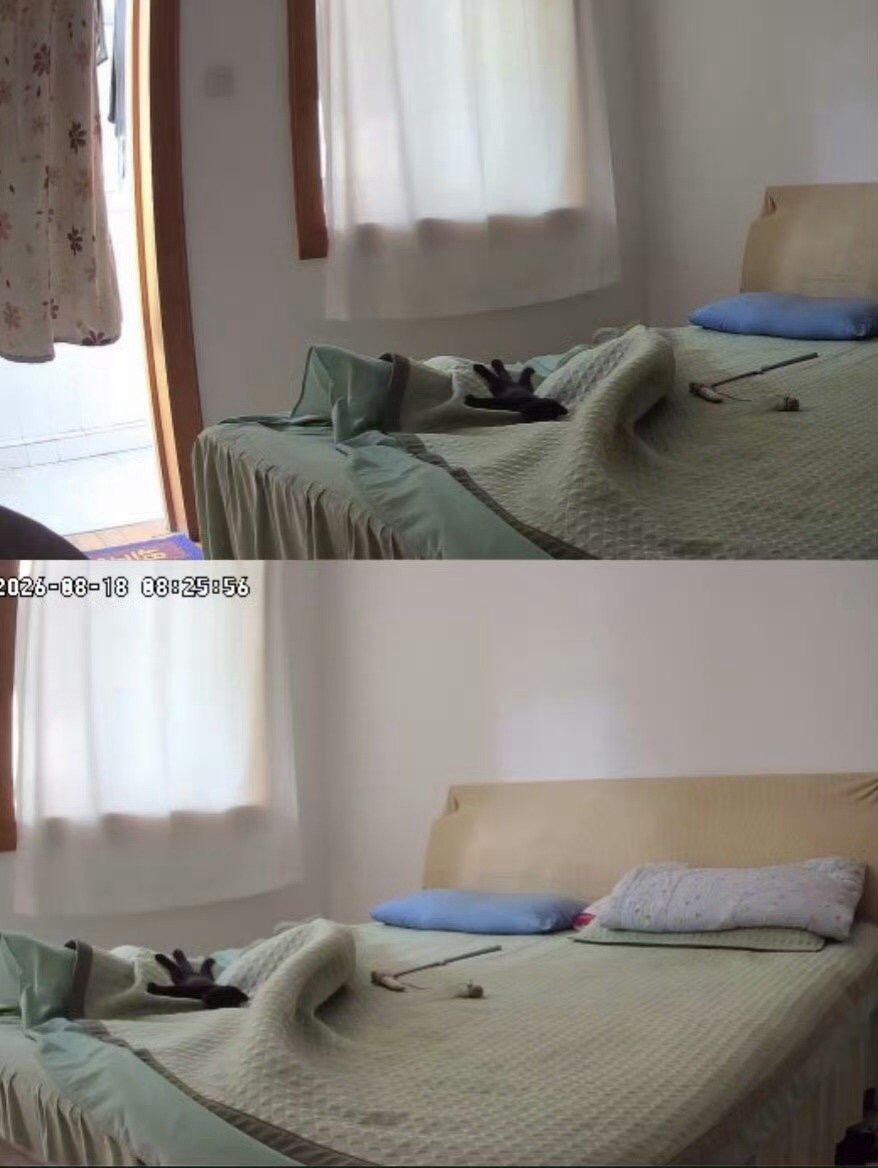 小猫把自己睡成小手套了 ​​​