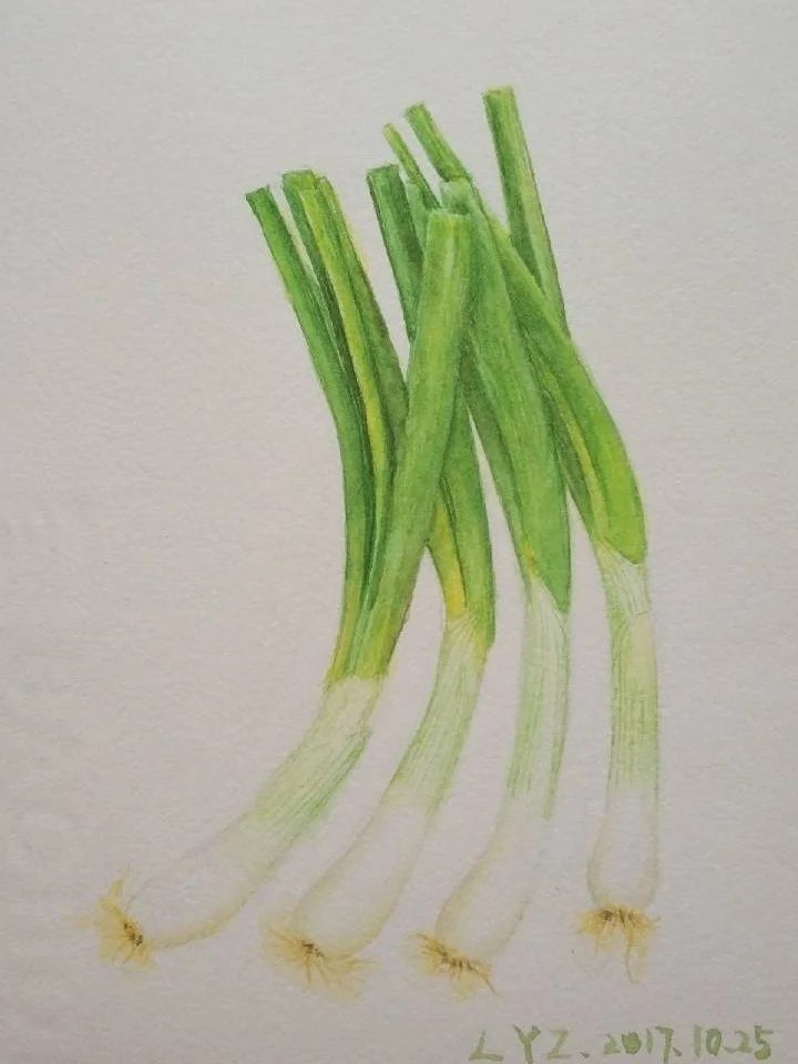 水彩大葱