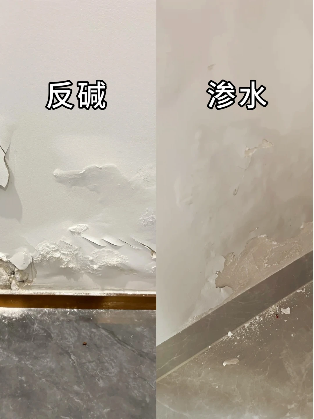 反碱≠渗水，一招教你区分和处理！