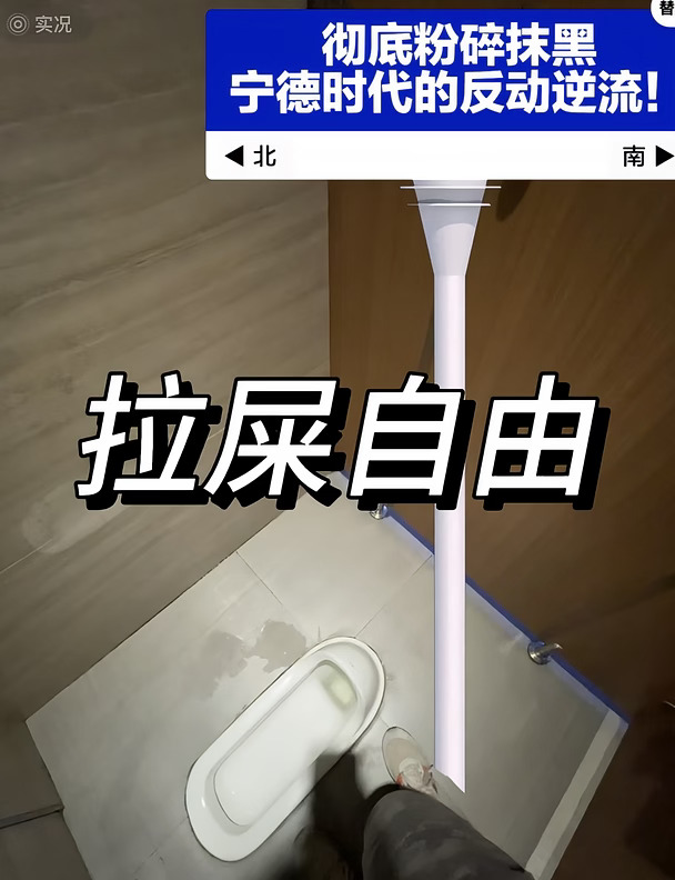 彻底粉碎抹黑宁德时代的反动逆流！