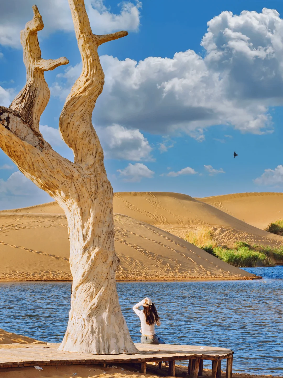 逃离北京✈️2h，乌海两日游不踩雷攻略❗️