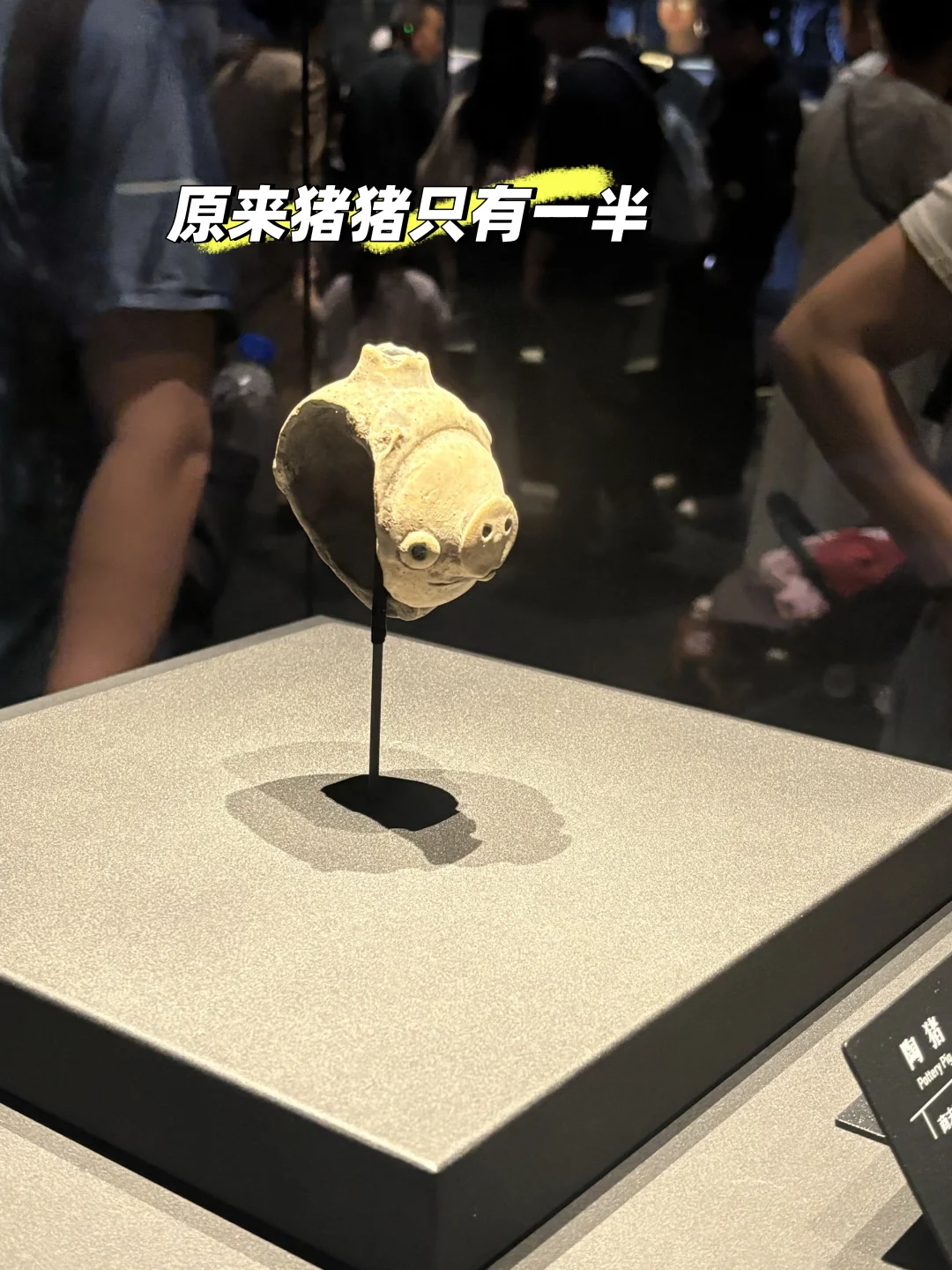 #三星堆的一些另一面，三星堆几个馆逛了一下，我们是从二楼往下面一楼逛进去，直奔青
