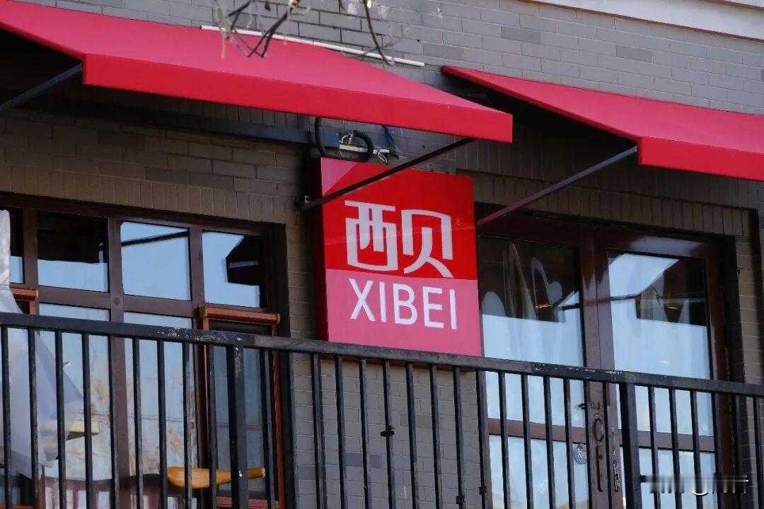 “西贝如果倒闭了，那是中国餐饮行业的倒退，是餐饮界的悲哀。”
这是钟薛高创始人林盛亲口说的，一顶帽子直接扣到了消费者身上：奸商们都认为坑顾客是合理的，顾客不让坑，那就是顾客的问题，是整个行业的倒退。
我们的产品有问题，但是我觉得我们没问题，你们如果觉得我们有问题，那是你自己的问题。
他站出来替西贝喊