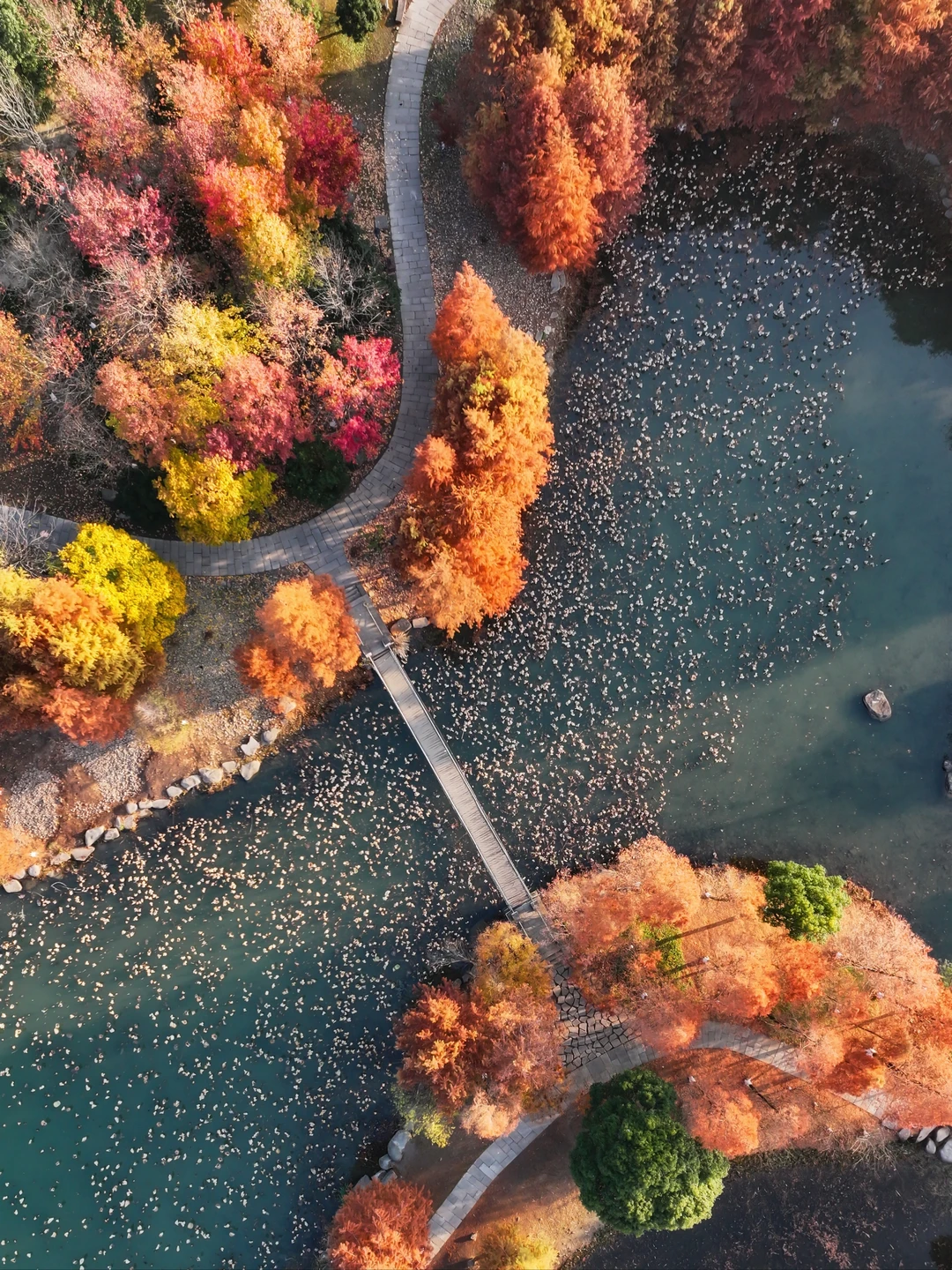 很难相信，初冬的湘湖还能美成这样