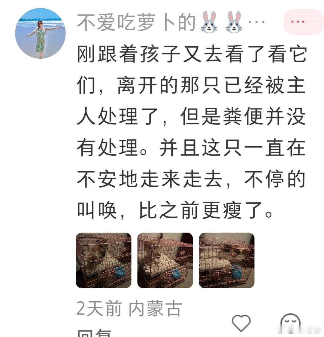 不好好养的人，比例不在少数，而这群人的行为，如此“光明正大”。（来源见水印，已征得同意。）宠物善待动物关爱生命 ​​​