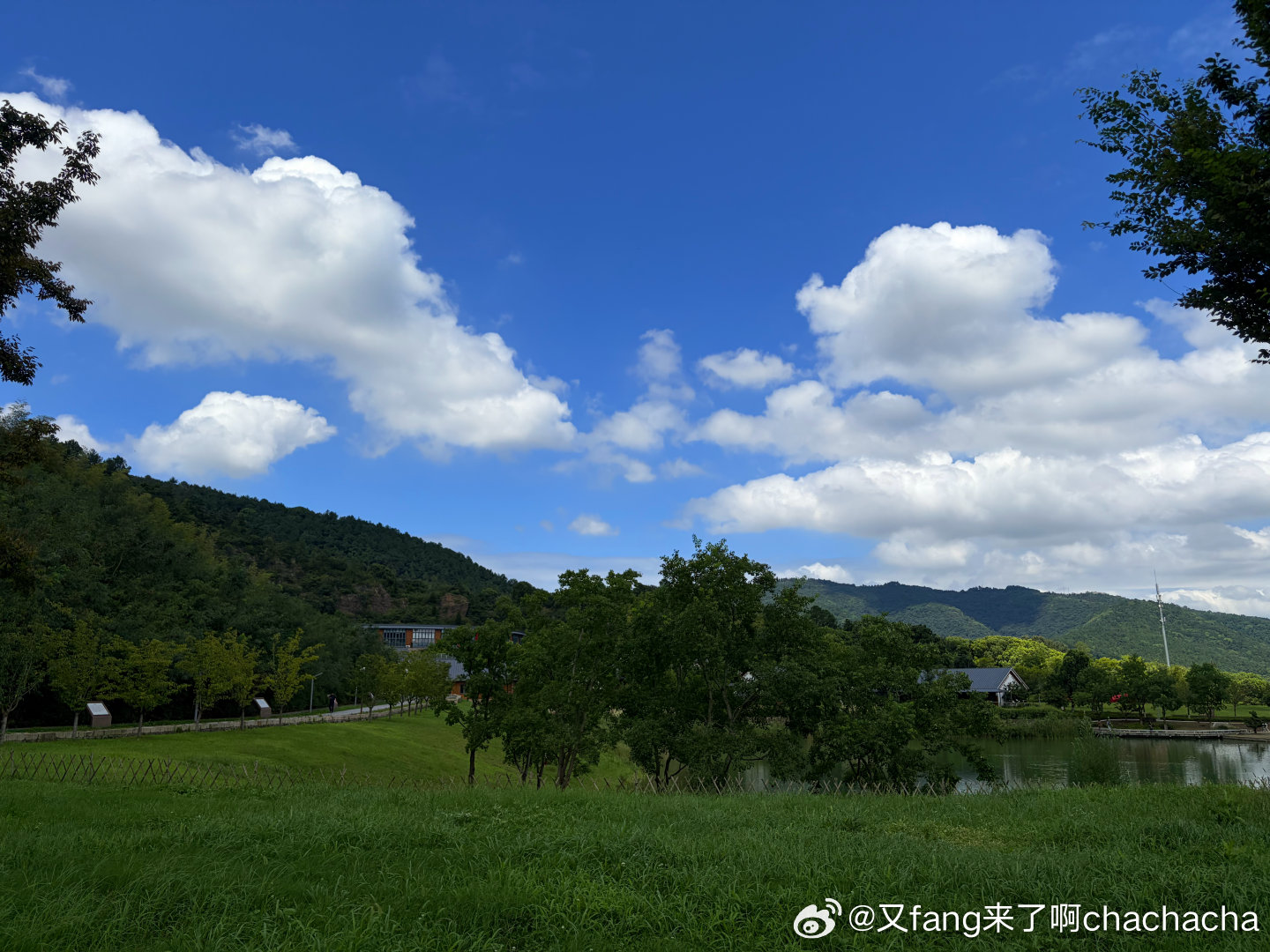误入一片像被荒弃很久的草地，喷水器无力地吐着口水，但是草地里又突兀得有秋千和滑梯，草地里散落着几个像割草机一样的机器人。再往里走，突然有一片机器人测试场地，机器人们安静地，没有规律地走走停停，转弯，像在巡逻或者寻找什么。周围没有一个人除了我。好诡异，好像掉进了什么ai接管人类后的世 ​