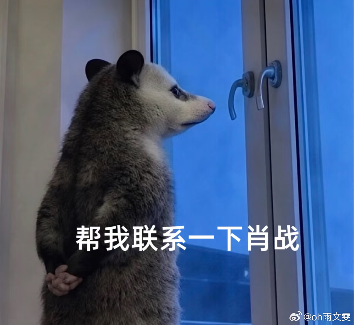 #肖战荣耀Magic9# 
到现在翻到荣耀那条重庆打卡微博，我还是能品出新东西[点赞] 当时官博带着Magic9 Pro Max跑去重庆，我第一眼只是觉得有点熟悉，再仔细一看才发现几个取景地都能和肖战以前的重庆打卡照对上[你好]
.
今年刚好是肖战出道十年，荣耀Magic系列也走到了第十年，本来是两条各自向前的路， ​