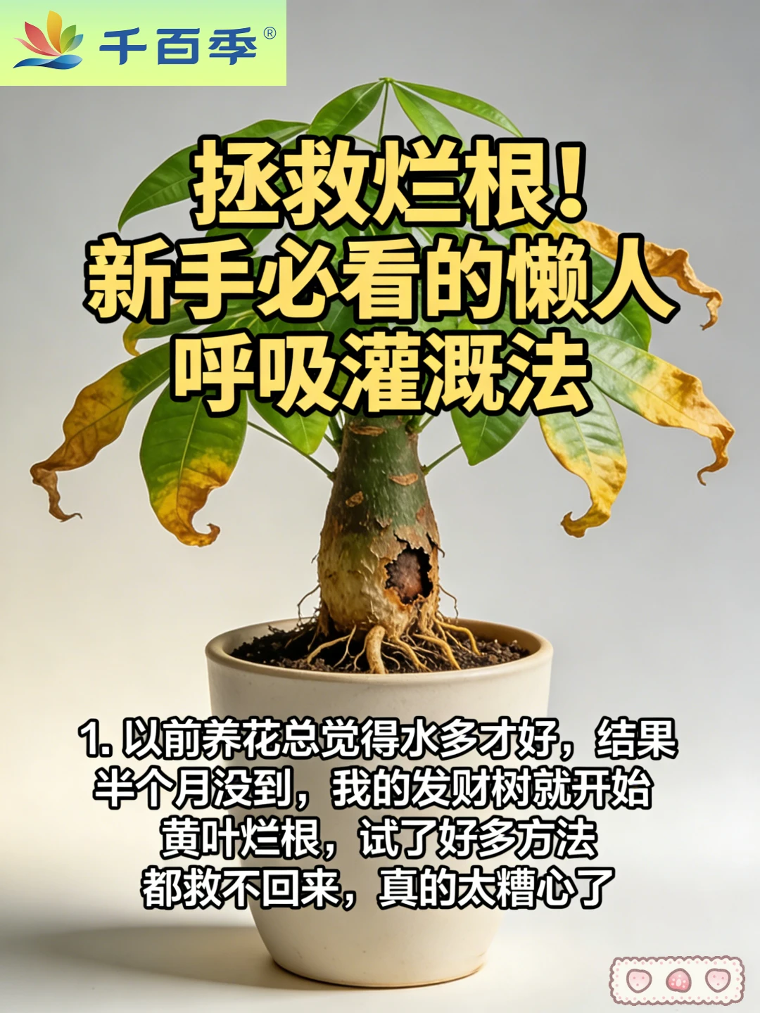 拯救烂根！新手必看的懒人呼吸灌溉法