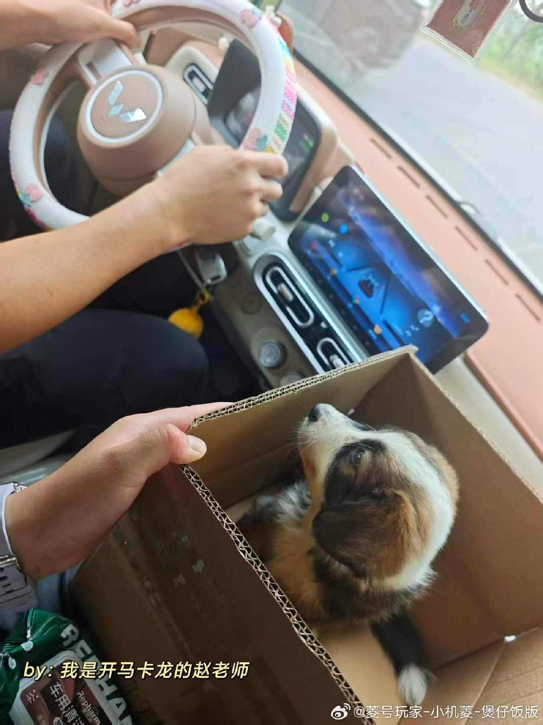 五菱 MINI 的副驾，今天迎来了新乘客🐶
小小的车，装得下生活，也装得下突如其来的温柔~#我的菱感车生活 ##小菱家族日记##我的MINIEV太对味辣##萌宠# ​