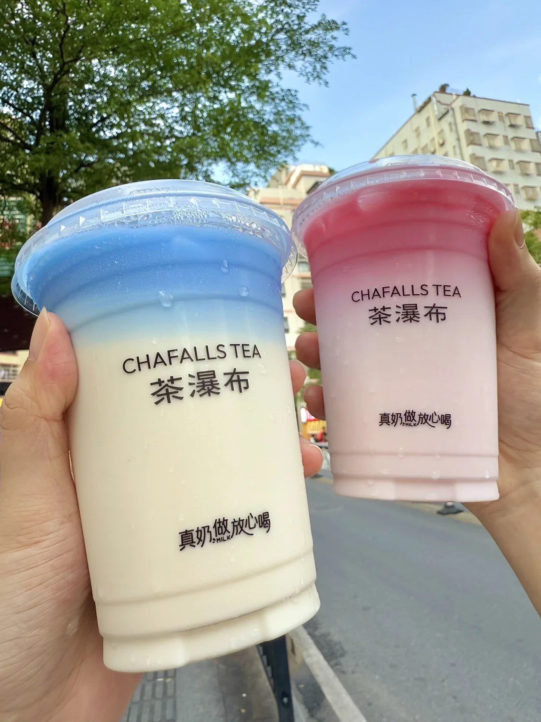 茶瀑布是有高人指点吗😅海盐CP简直仙品……