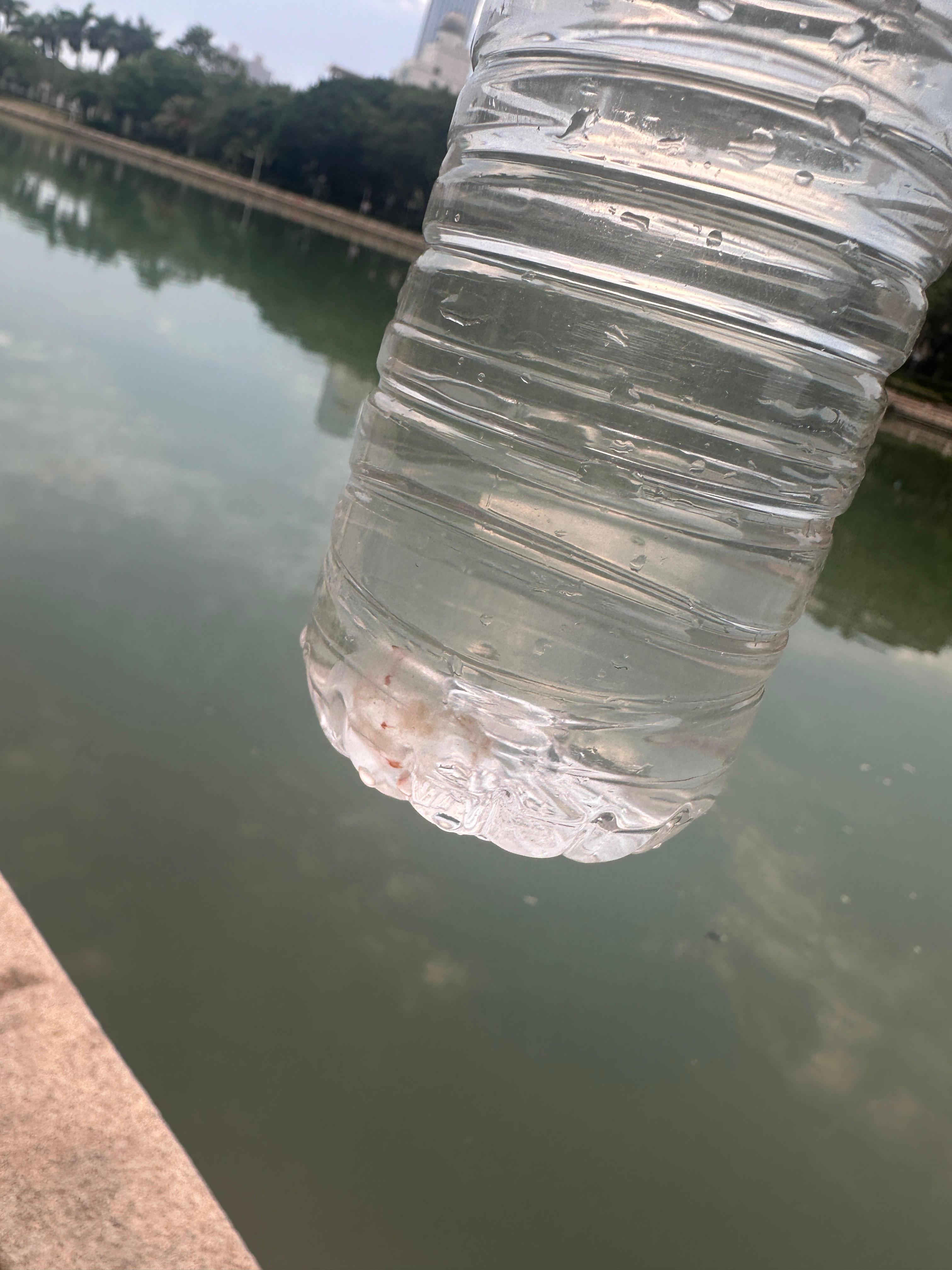 依旧空军的一天但捞到一只小水母[旺柴]放弃路亚假饵换了香喷喷的饲料还是空军是时候换个爱好了[可怜] ​​​