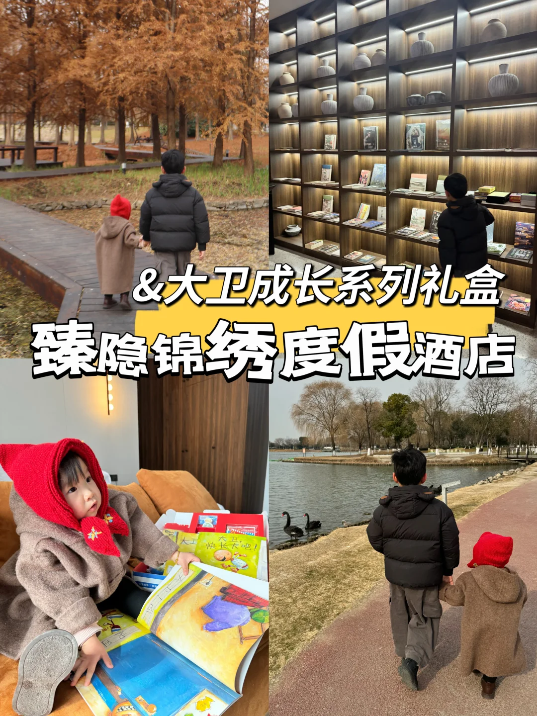 周末带上大卫成长系列礼盒🎁湖州西山漾湿地
