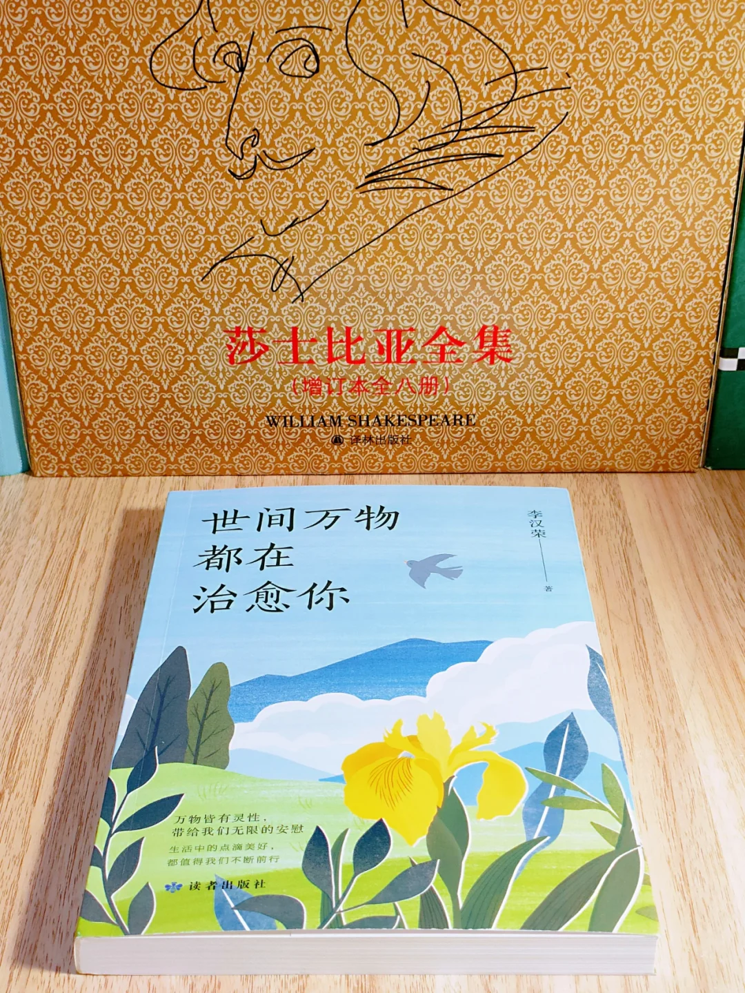 真后悔现在才看李汉荣！文笔简直吹爆！！