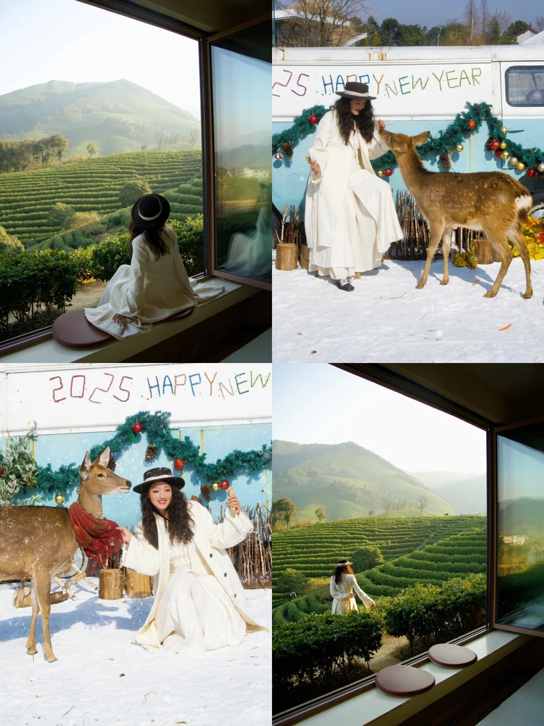 上海出发2h，好玩的冬季旅行地被我找到了