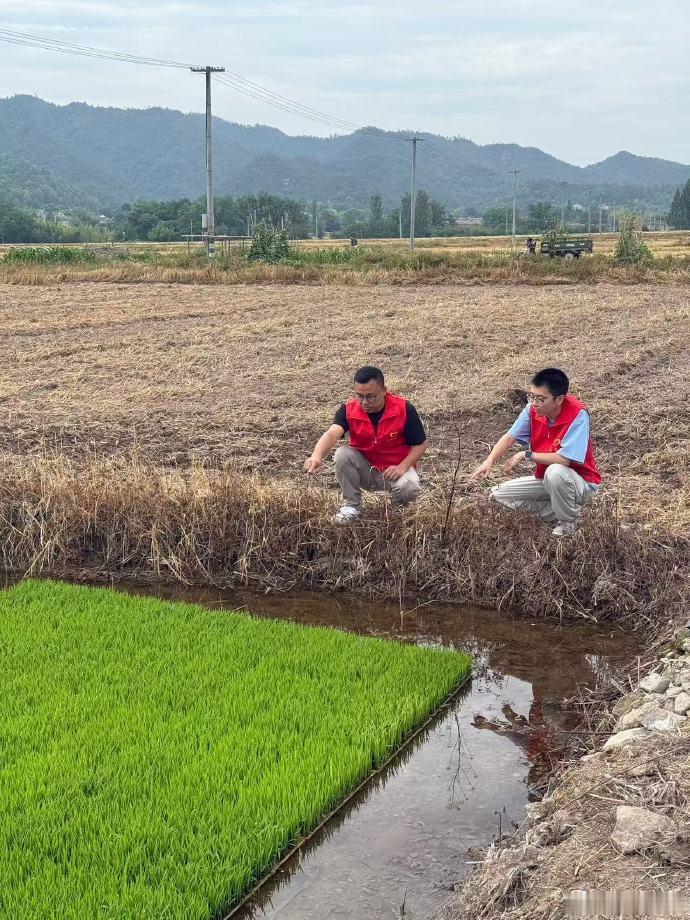 蹲下的是身子，扶起的是希望！天台平桥镇东林片区的“红马甲”们，把办公室...