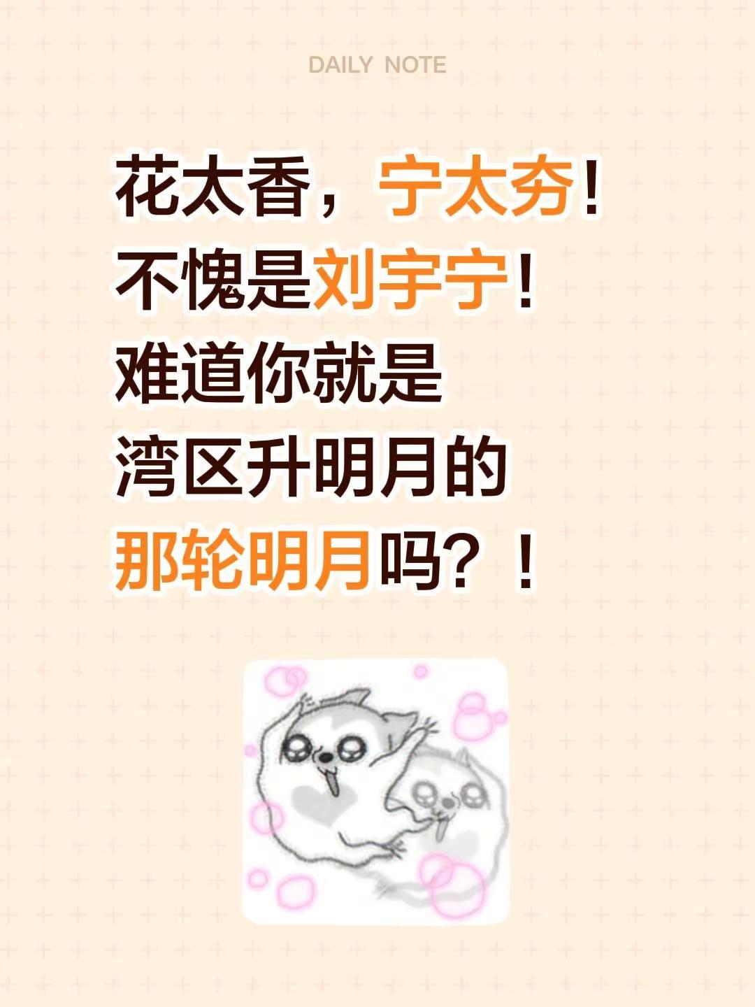 刘宇宁，全开麦的神！一曲《花太香》，湾区升明月！刘宇宁舞台 湾区升明月 真唱 刘宇宁