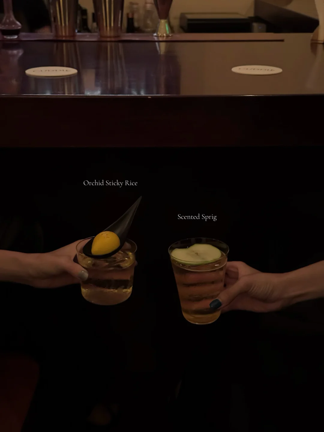 🍸杭州Cuddle新酒单，已喝不欠✌🏽