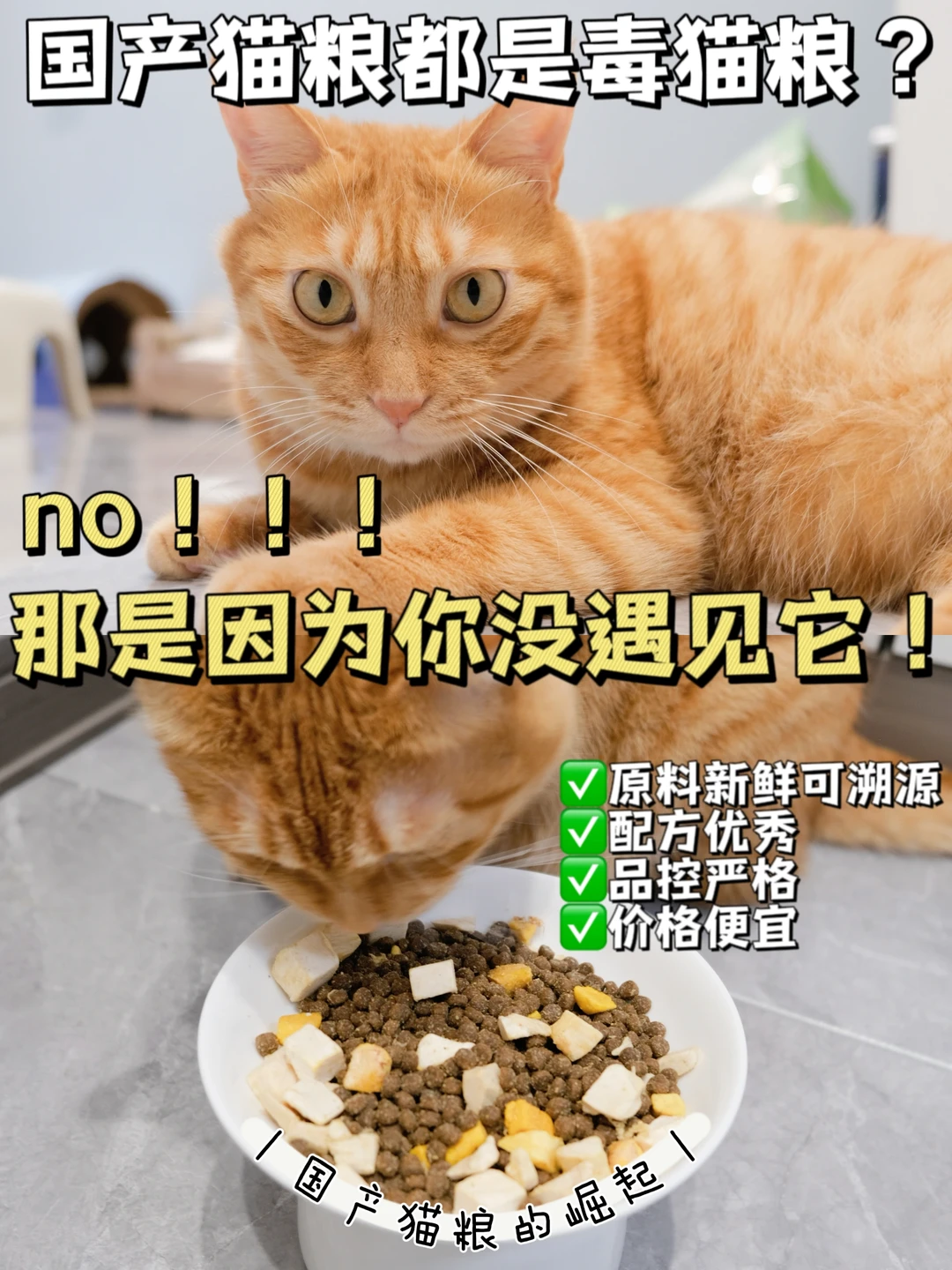 国产粮就是毒猫粮？？no！那是你没遇见它！