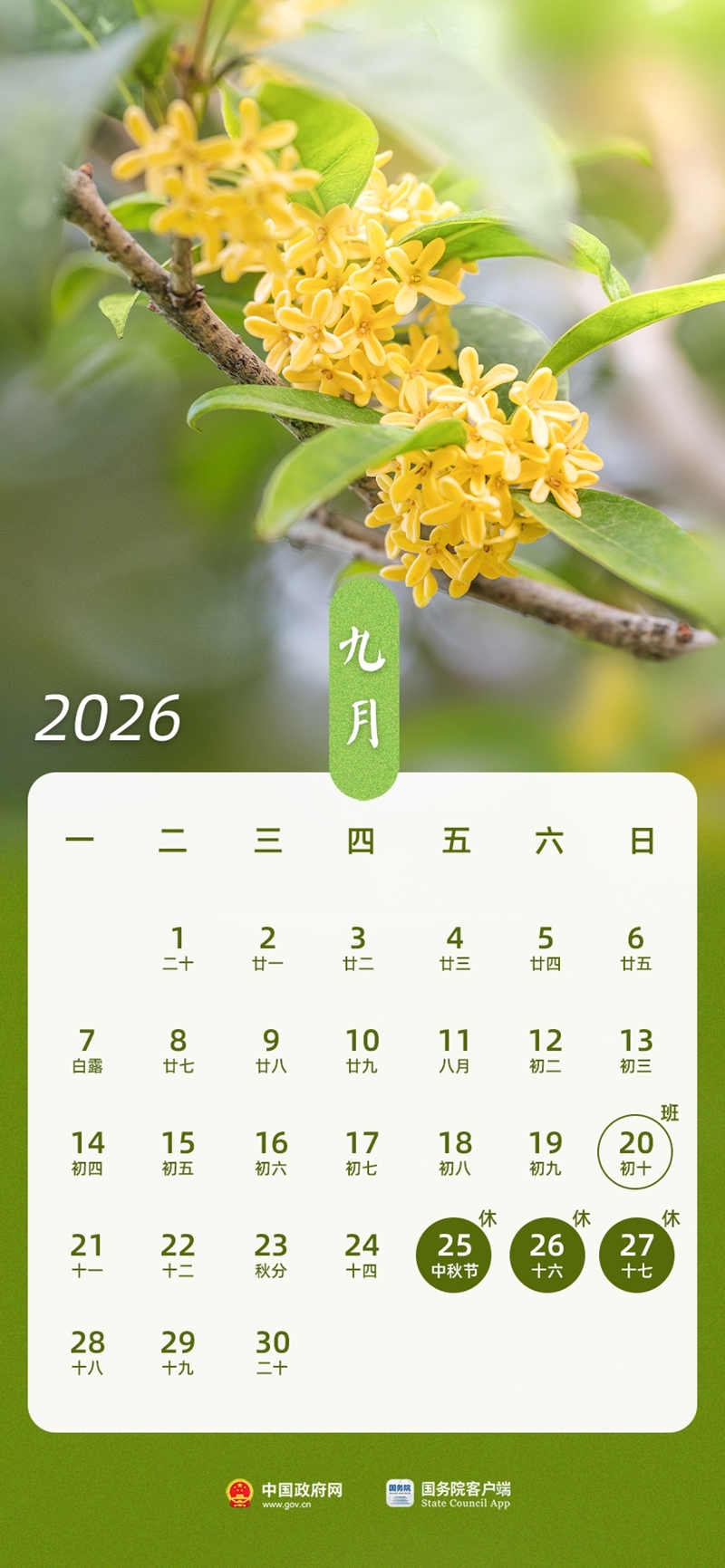 定了！2026中秋放假3天不调休，还有两个重要提醒别踩坑

刚刷到官方通知，今年中秋放假安排终于落定了！

根据国务院最新安排，9月25日（周五）到27日（周日）连休3天，不用调休补班，节后直接周一正常上班，终于不用再忍受凑假之后连续上六七天班的痛苦了。

不少朋友已经在算拼假攻略了吧？今年中秋和国