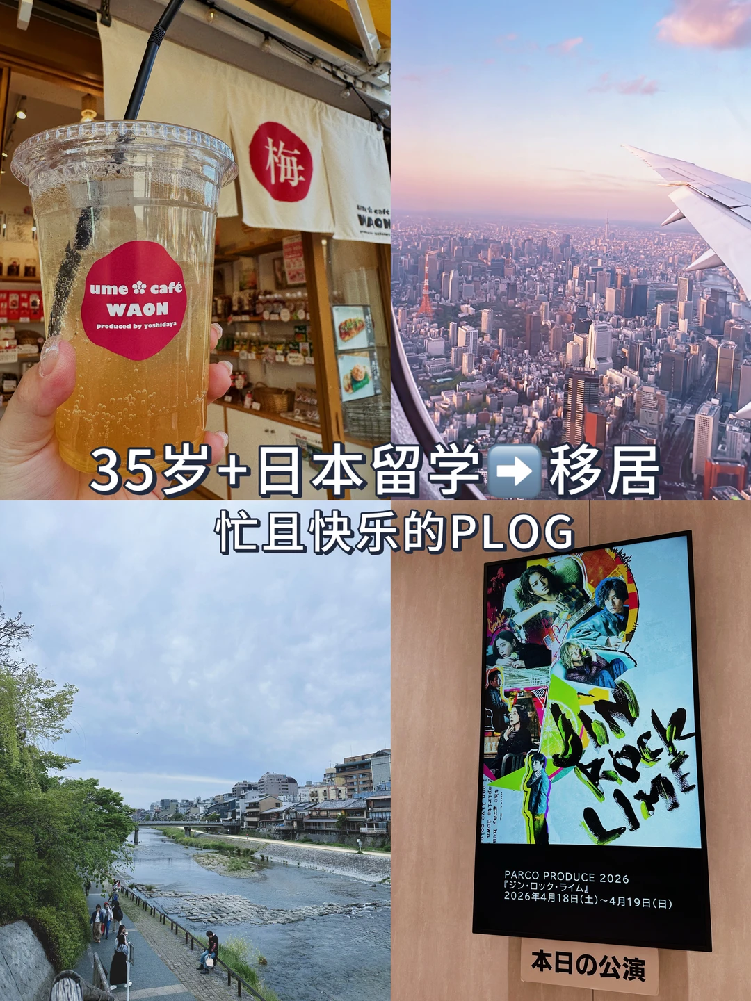 35岁+女生日本留学✈️现在选择留下的理由