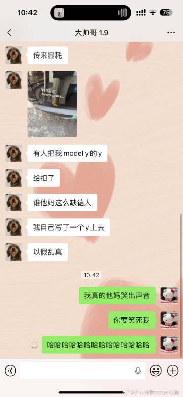 我每天都要被我的朋友们笑死