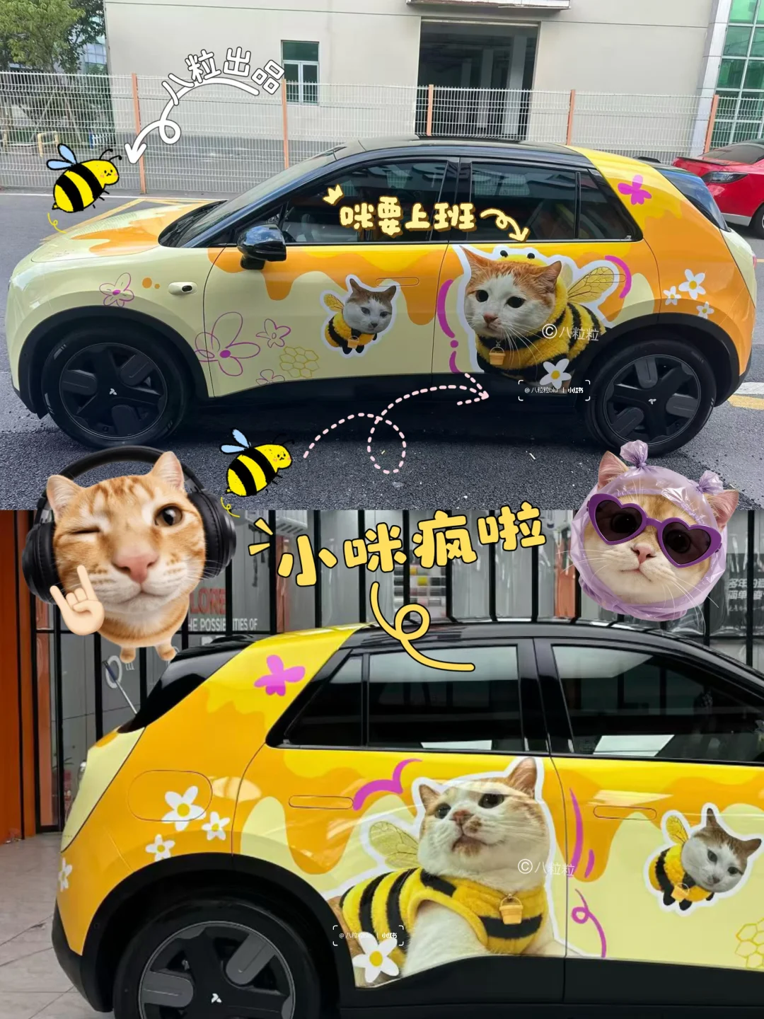 小咪疯！上班儿哪有不疯的！
