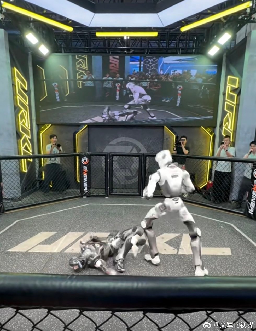 我们正在创造着前沿的科技文明，似乎也在陷入王东岳先生提出的“递弱代偿”的无奈。 ​