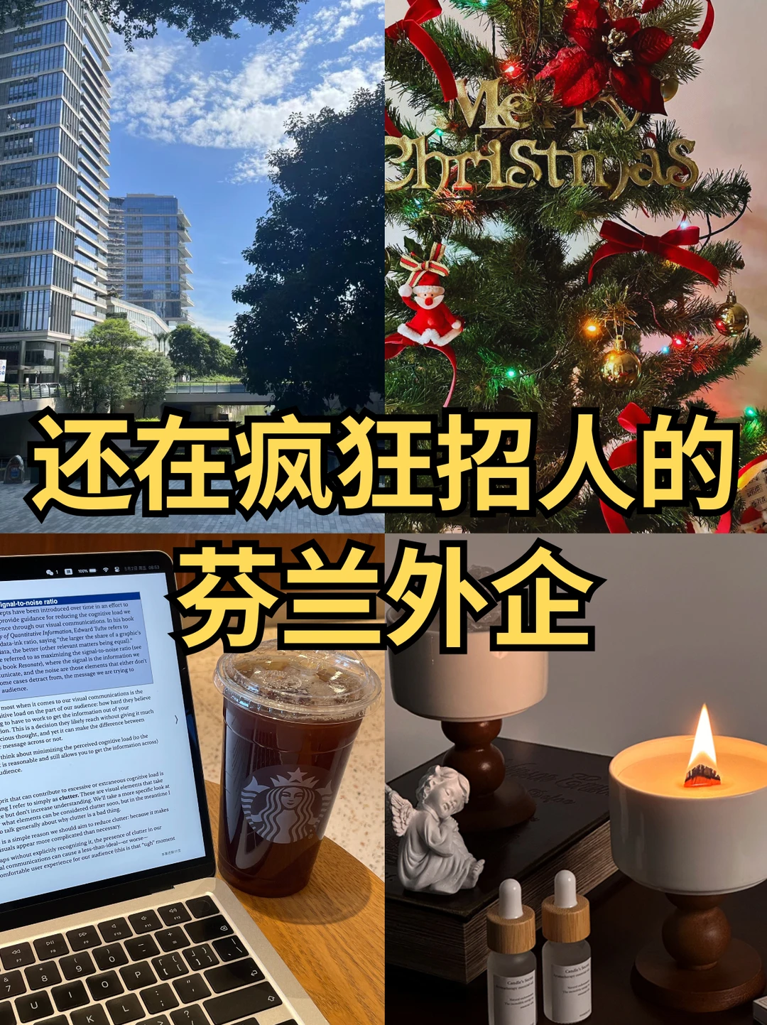 还在疯狂招人的：芬兰外企🤗