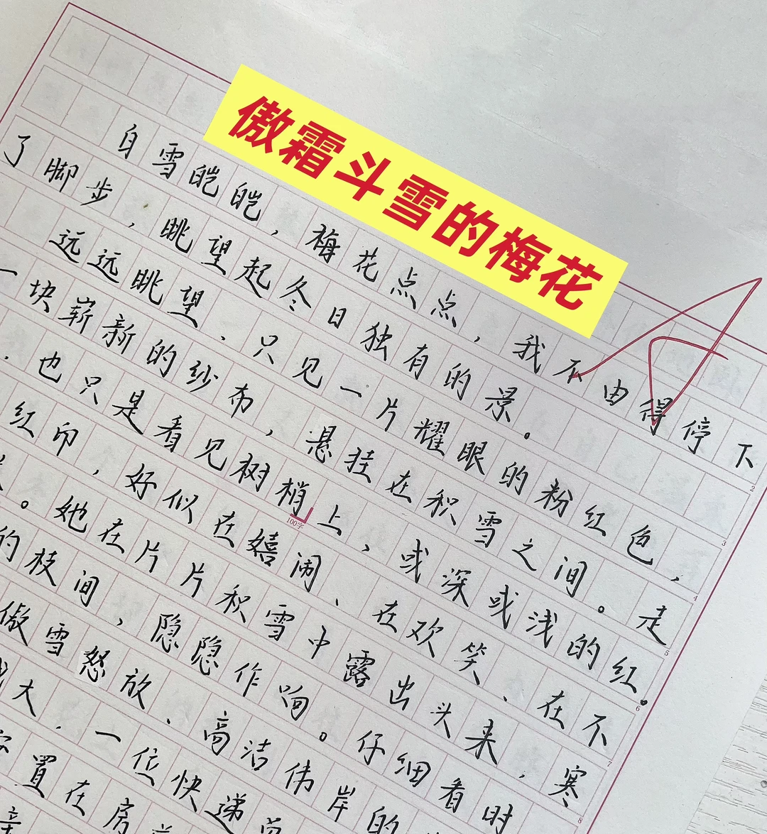 初一作文《傲霜斗雪的梅花》‼️