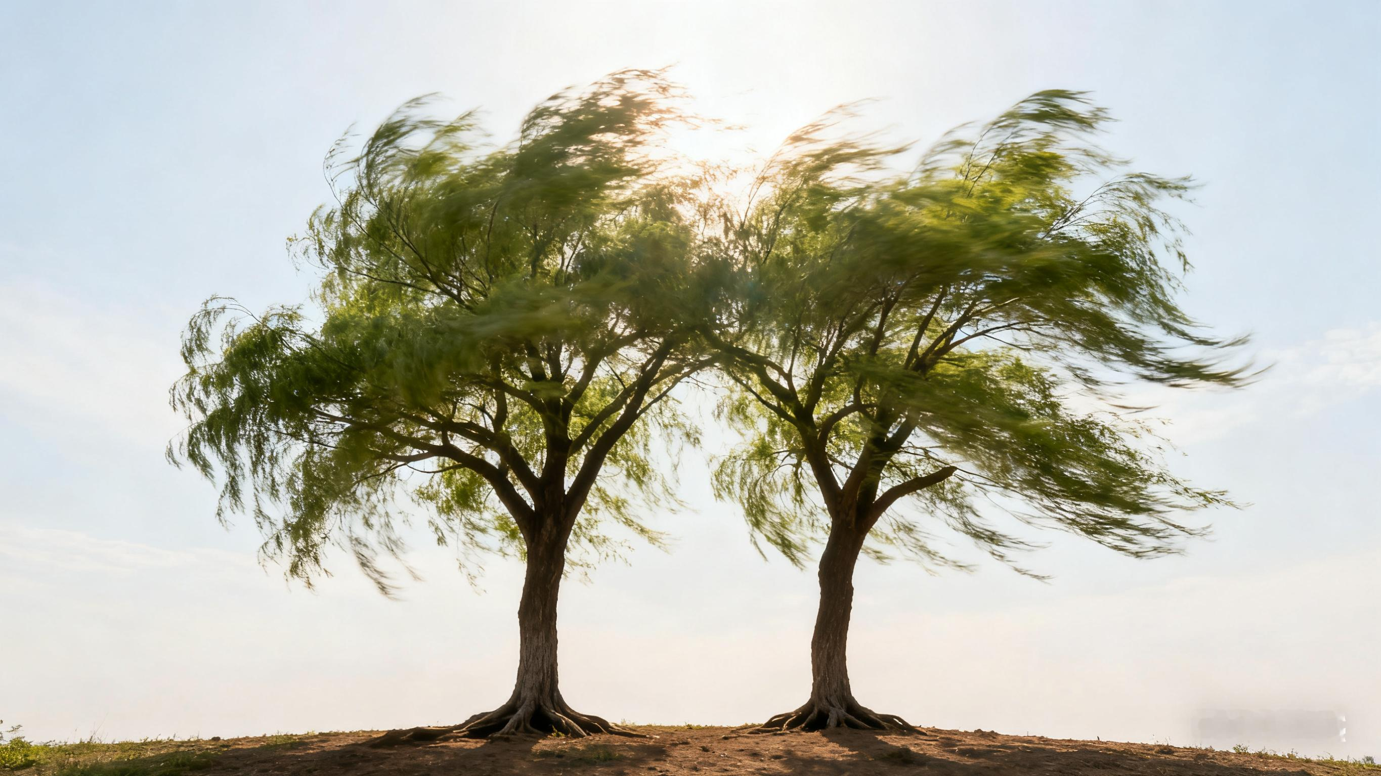 分寸感：成年人最顶级的相处智慧   你有没有过这样的时刻？对挚友说“谢...