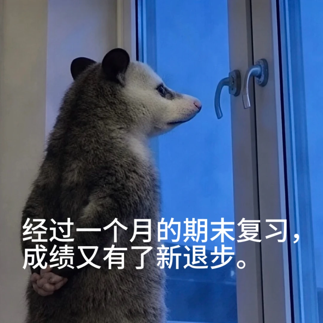 咱们老师专属的负鼠表情包（2）🤣