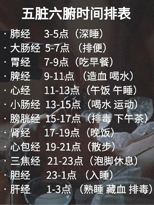 了解身体的运作机制 是爱自己的最好方式