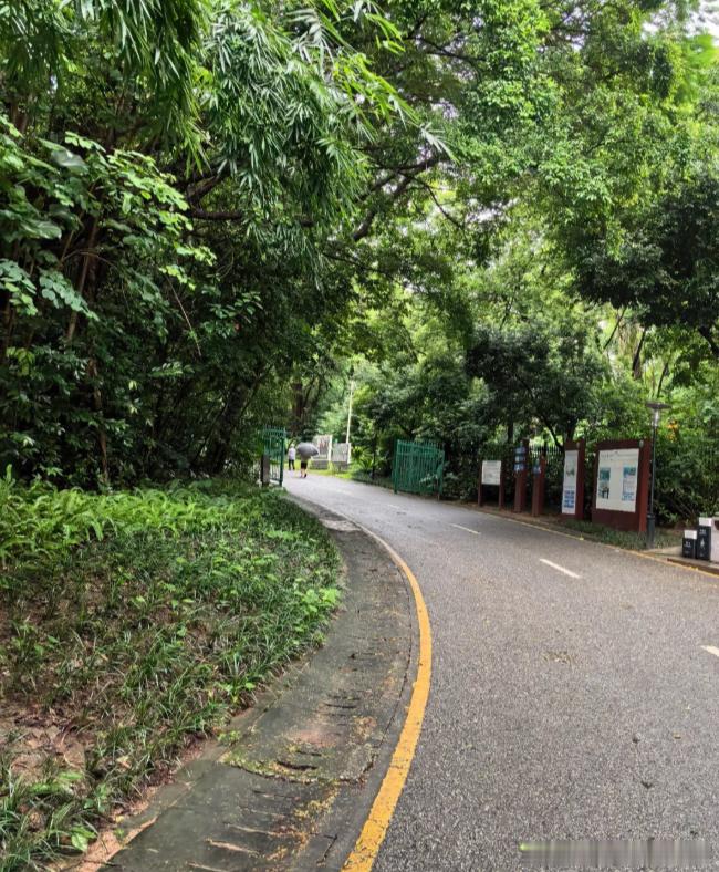 晨跑完去公司开展复盘工作！[不愧是你][不愧是你]黄金[超话] A股[超话] 金油引路人老杨 金价 ​​​