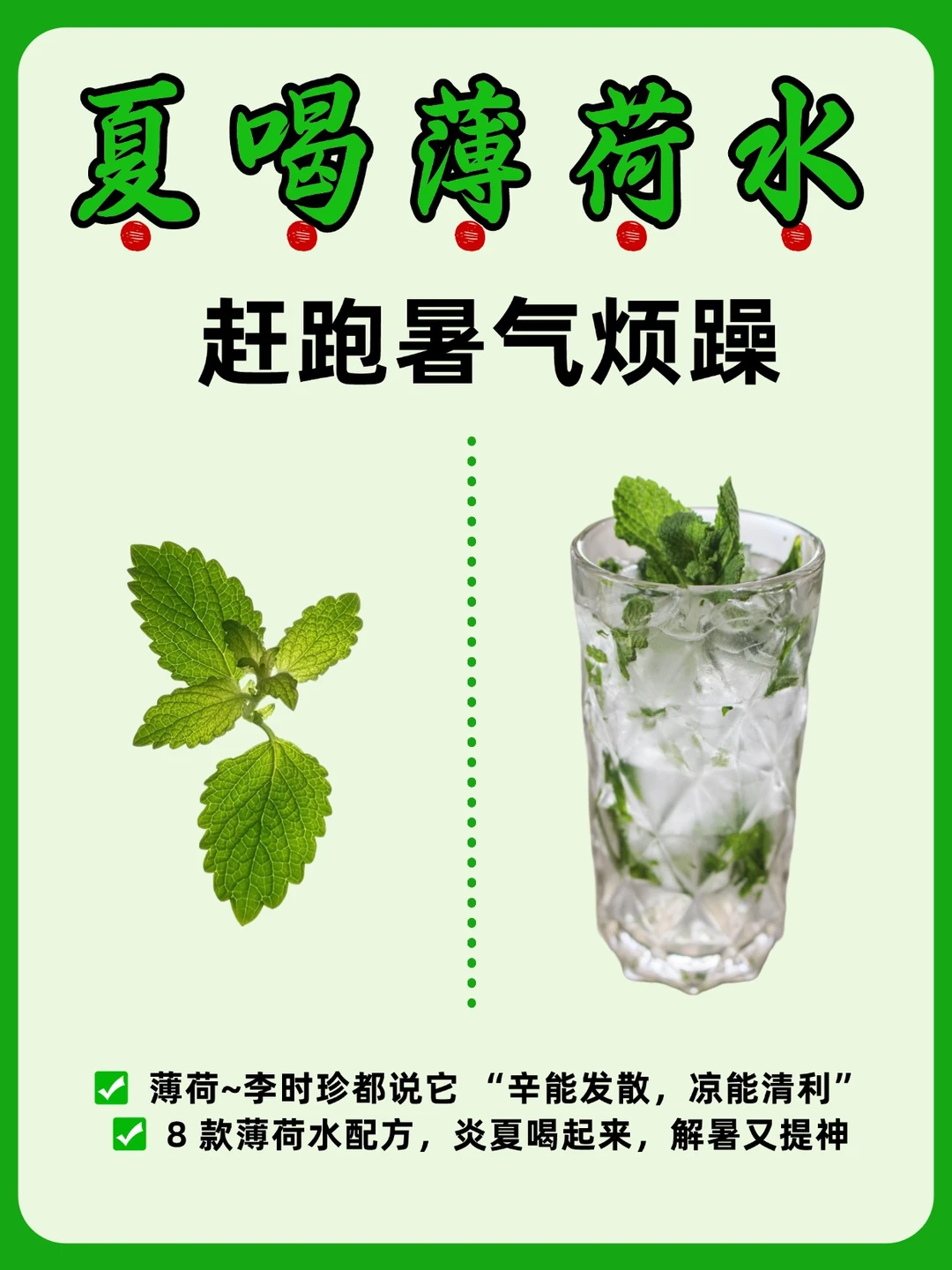 薄荷水：夏日 “清凉救星”，赶跑暑气烦躁