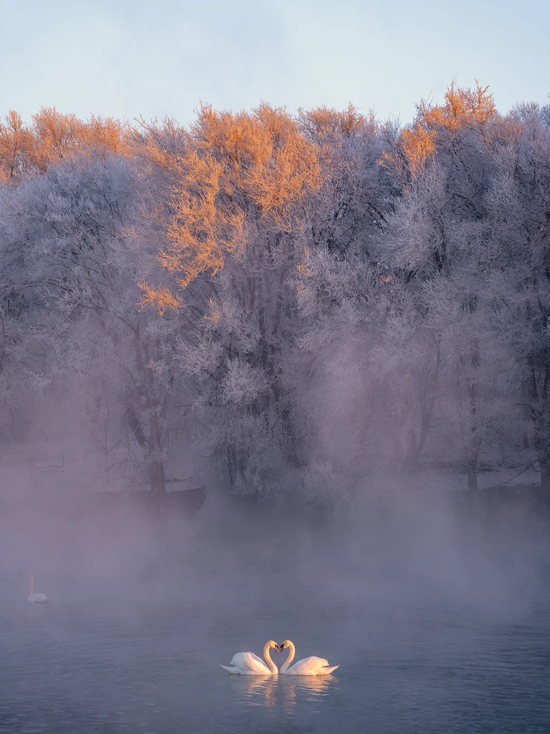 零下二十度，我拍到了爱情的模样。