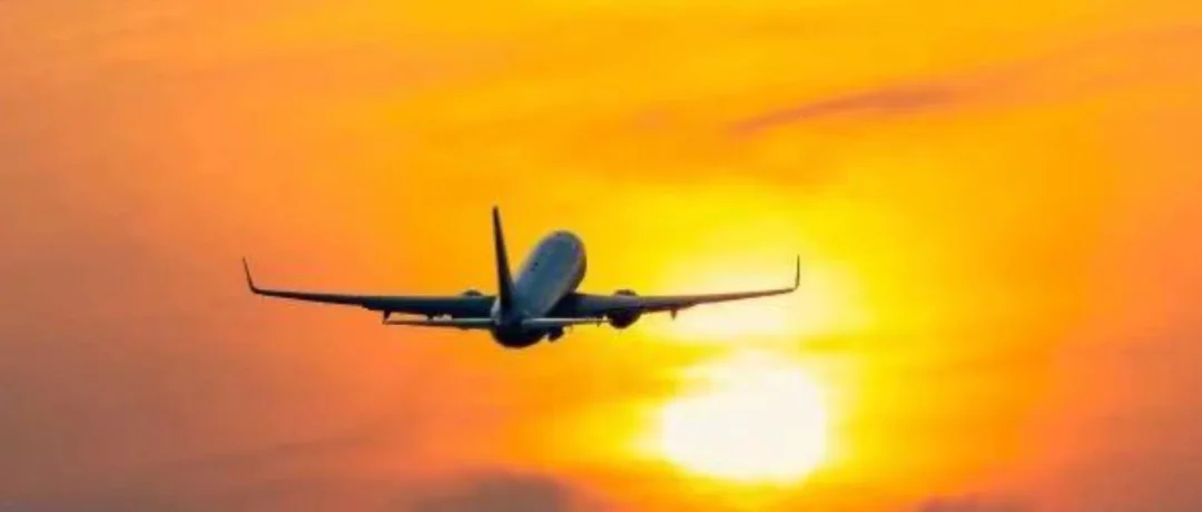 为何没有航空公司倒闭？