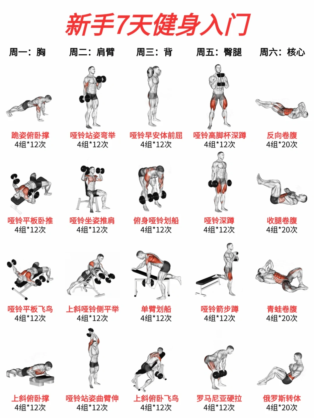 新手7日健身入门🔥零器械也能坚持❗