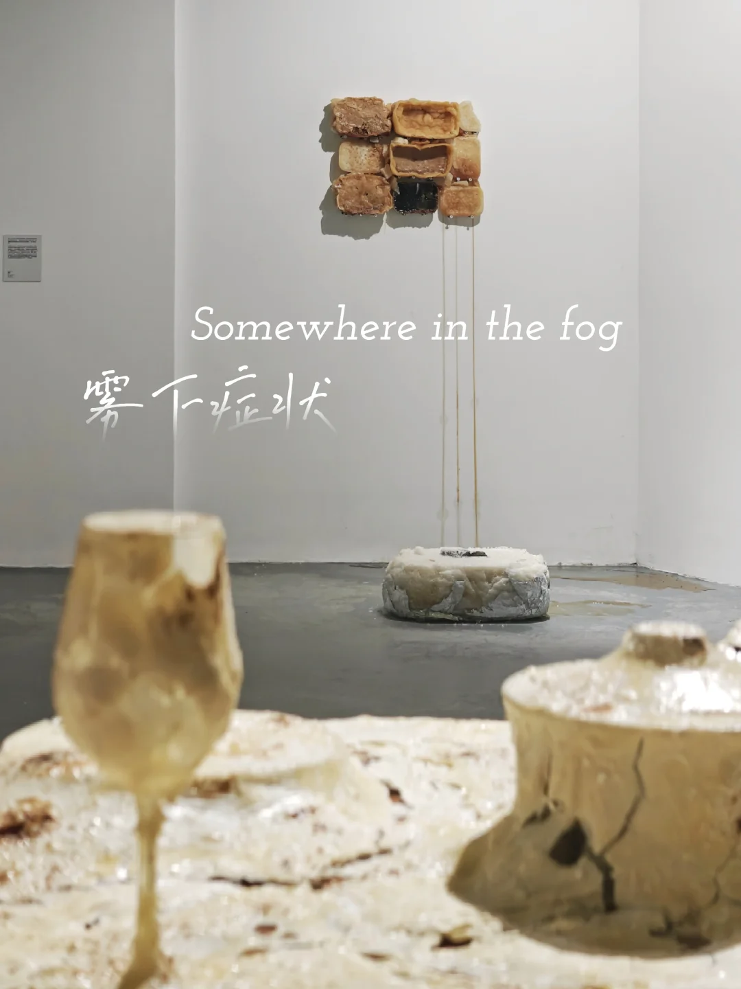 上海艺术漫游｜当代社会病理化特性暧昧叙事