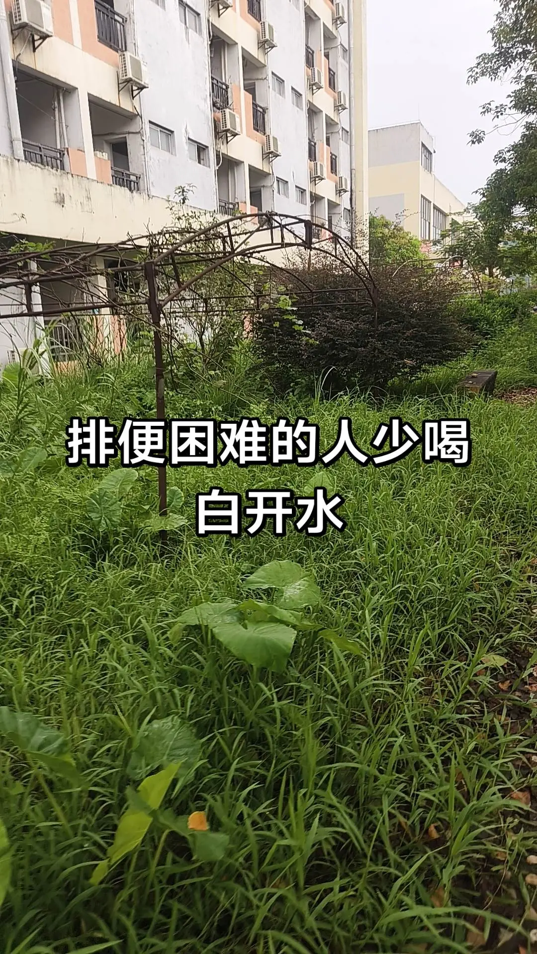 第二届