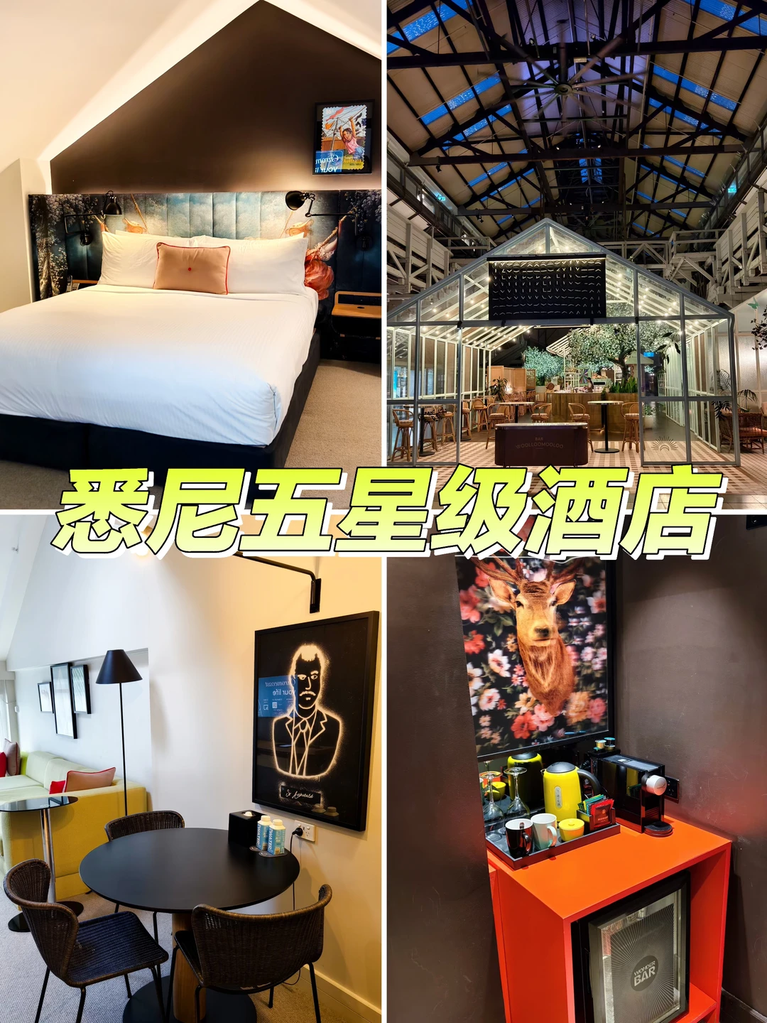 悉尼海港五星级酒店：睡进百年码头🚢