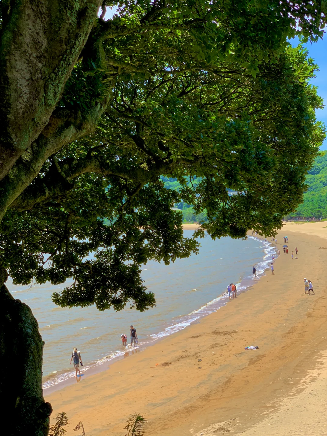 普陀山：礼佛💐看海🌊购物🛍