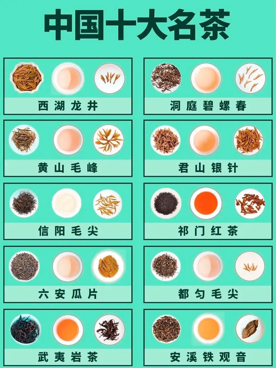 茶知识｜中国十大名茶分别是哪些？