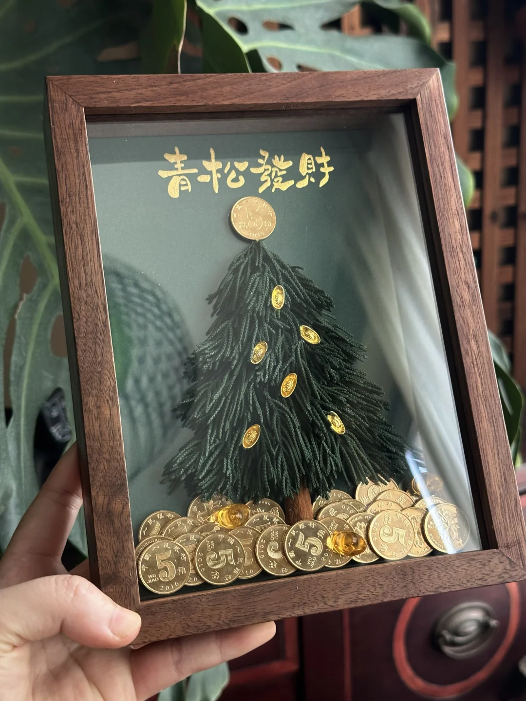 青松发财｜这颗“青松”我先收了！🌲发财迟早的