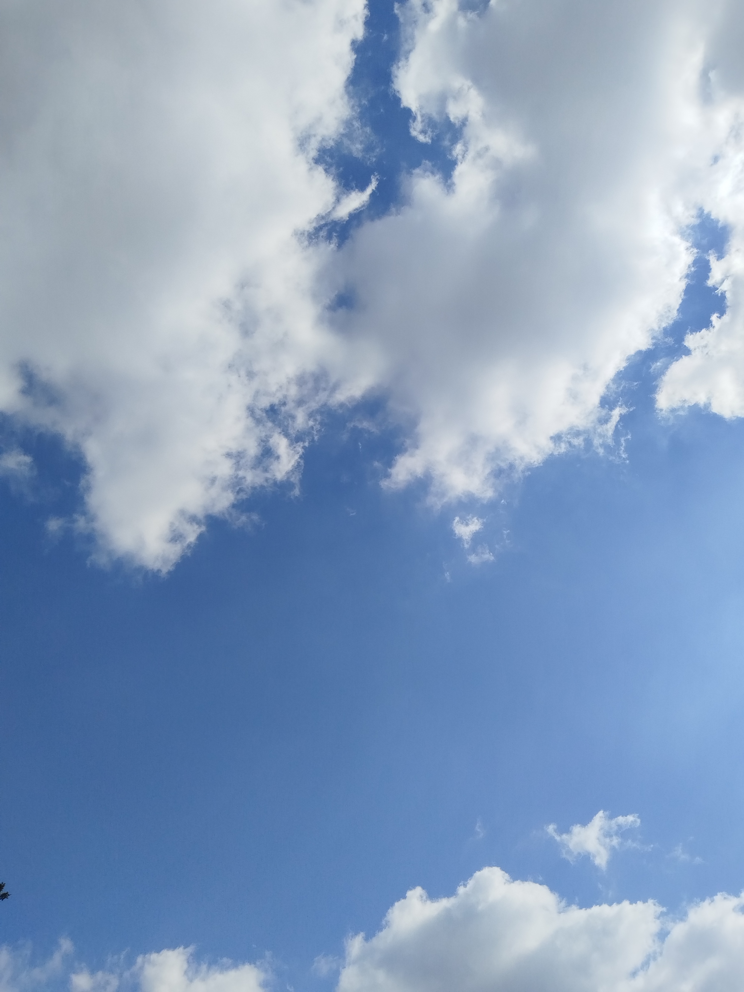 大部分人不幸福不是他们的生活不好，是因为他们只盯着生活中不好的1％：大...