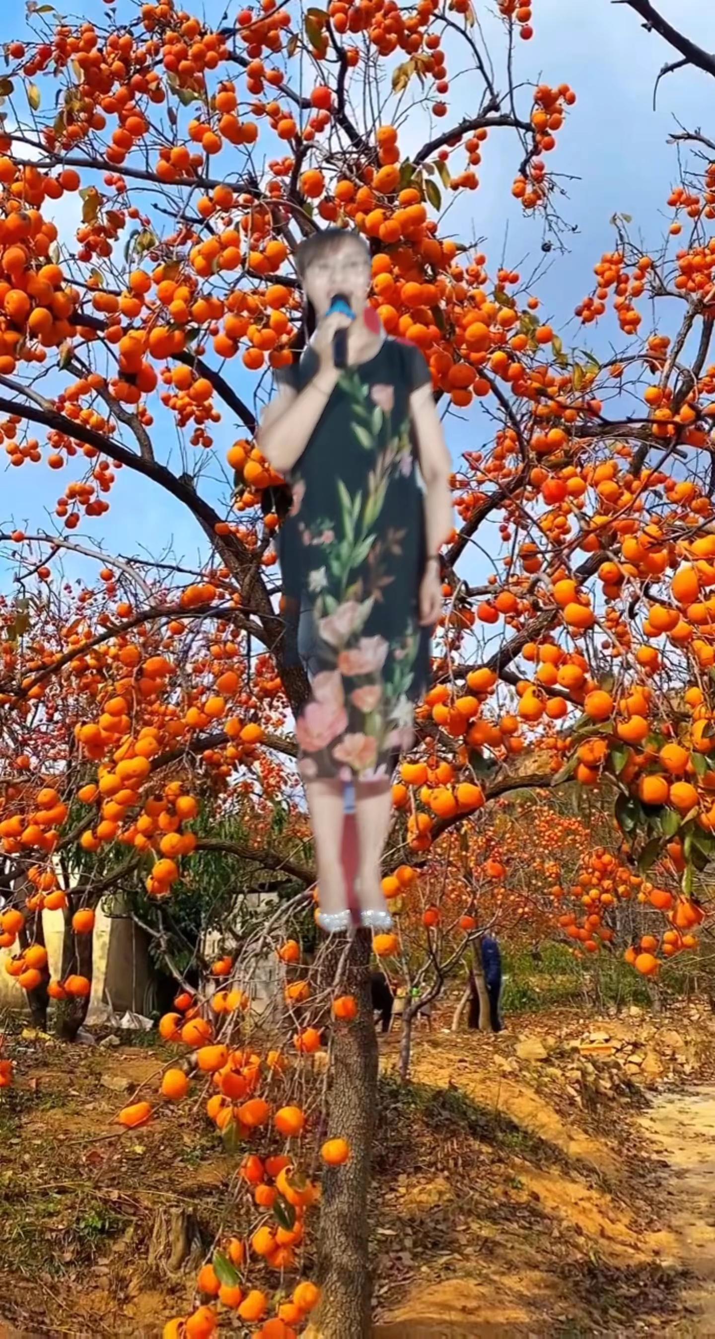 <p>旗袍美人 旗袍美女 旗袍美人美如画 <!--{img:0}-->...