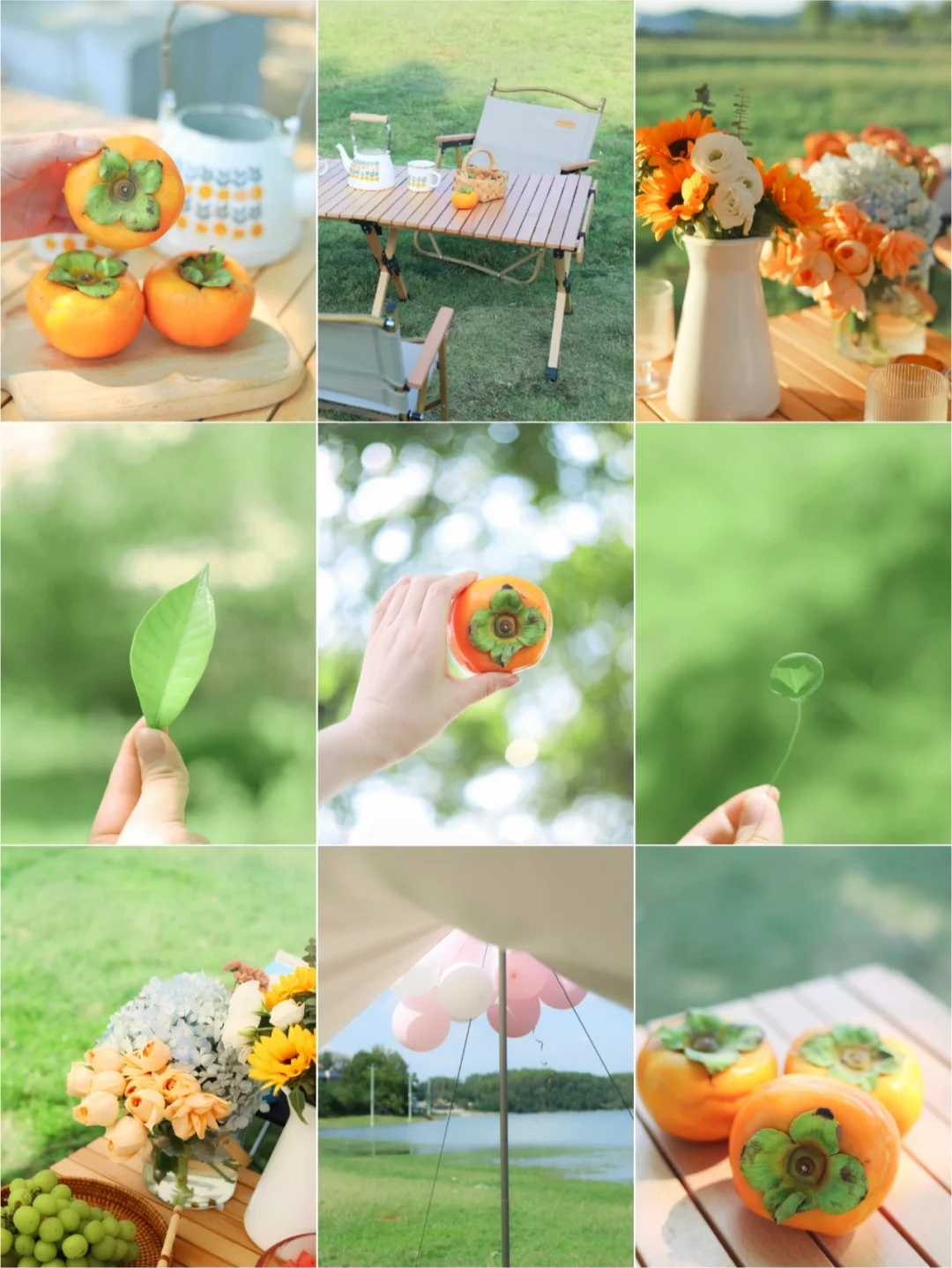 清新氧气绿🌿调色/用绿色和夏天告别