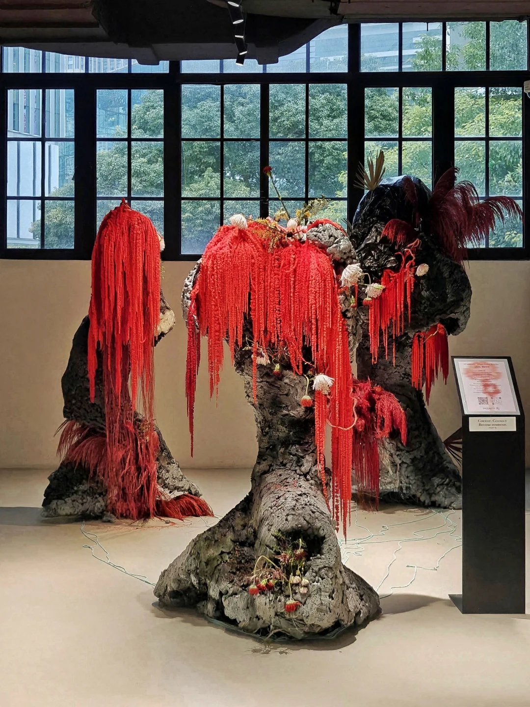 苏河皓司啥时候悄咪咪多了个巨型花艺？