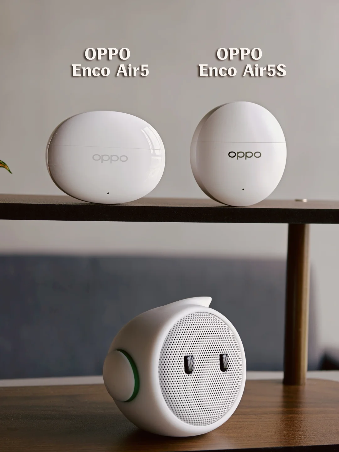 OPPO Enco Air5 vs Air5S 怎么选