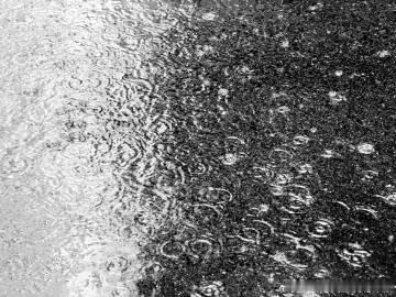 下雨天会带来一种微妙的失序感·iPhone17pm