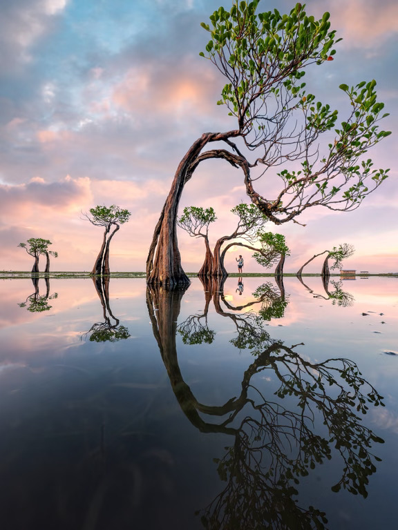 不加任何tag刷到我 说明你的审美很独特